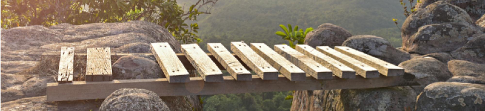 Bridge